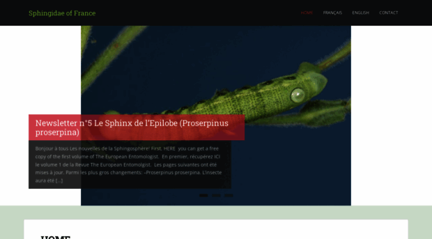 sphingidae-haxaire.com