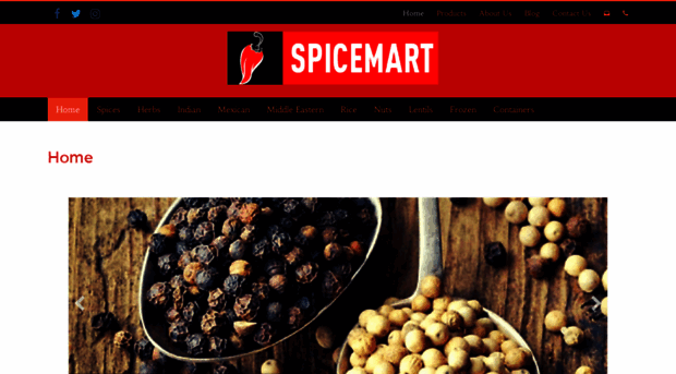 spicemartinc.com