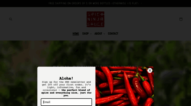 spicyninjasauce.com