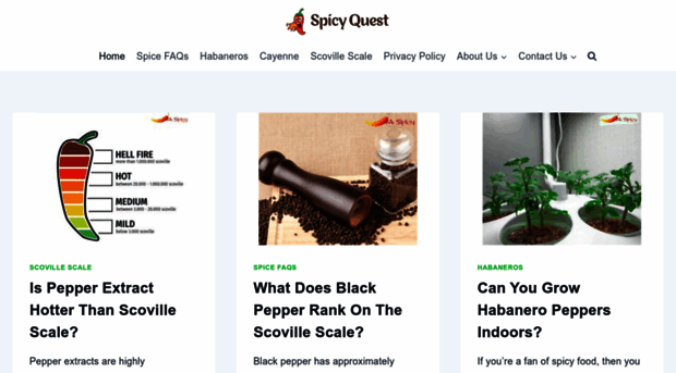 spicyquest.com