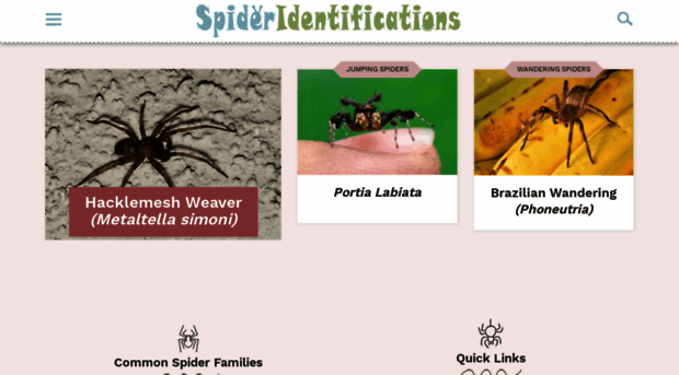 spideridentifications.com