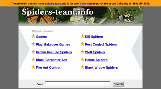 spiders-team.info