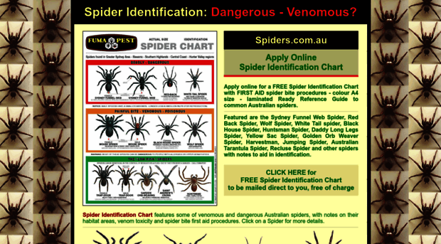 spiders.com.au