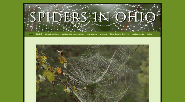 spidersinohio.net