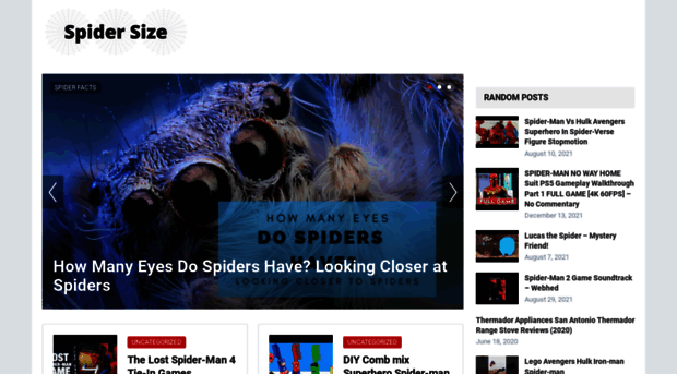 spidersize.com