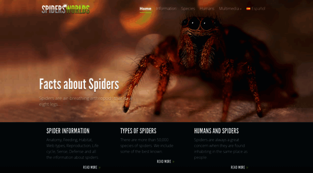 spidersworlds.com