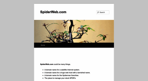 spiderweb.com