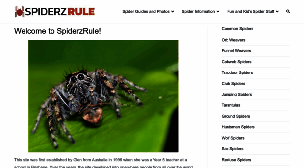 spiderzrule.com