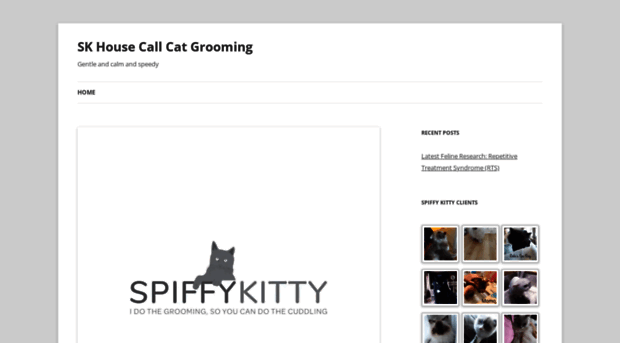 spiffykittycatgrooming.com