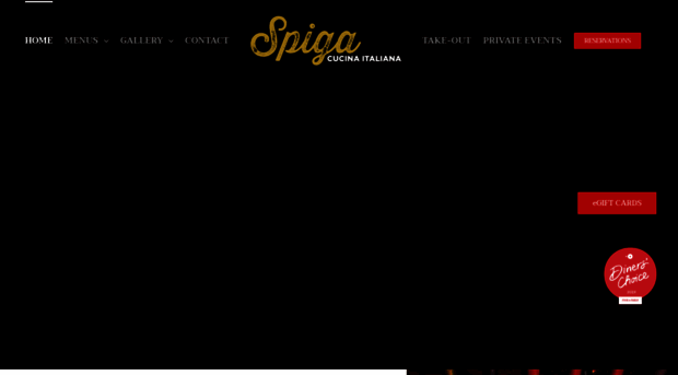 spigaaz.com