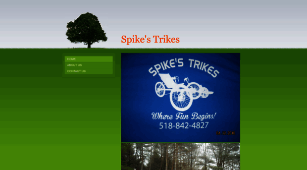 spikestrikes.biz