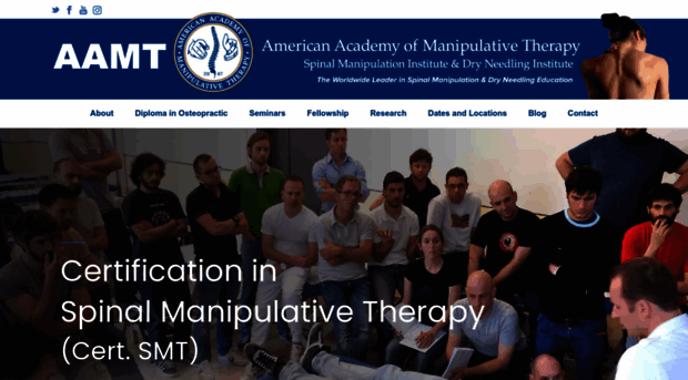 spinalmanipulation.com