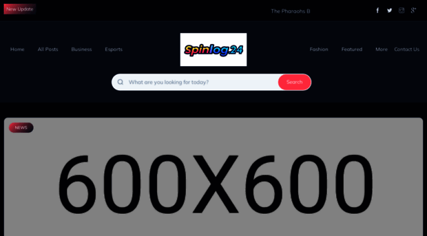 spinlogic24.de