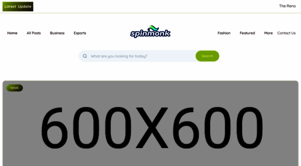 spinmonk.nl