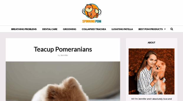 spinningpom.com