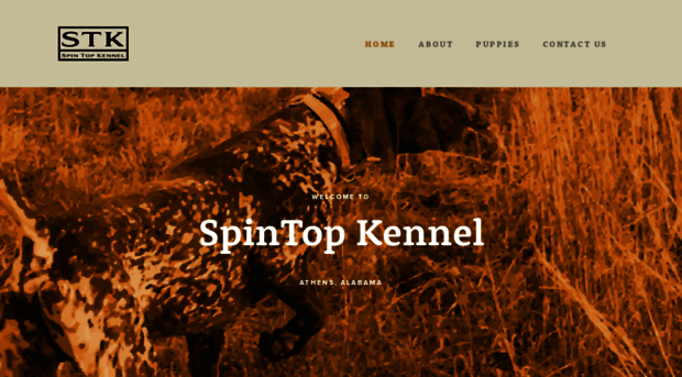 spintopkennel.com