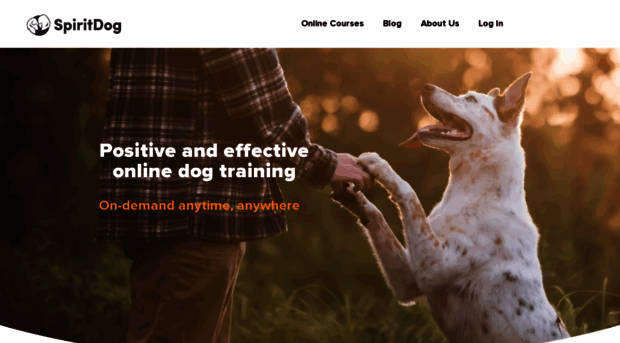 spiritdogtraining.com