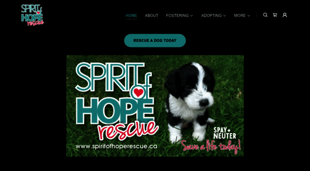 spiritofhoperescue.ca