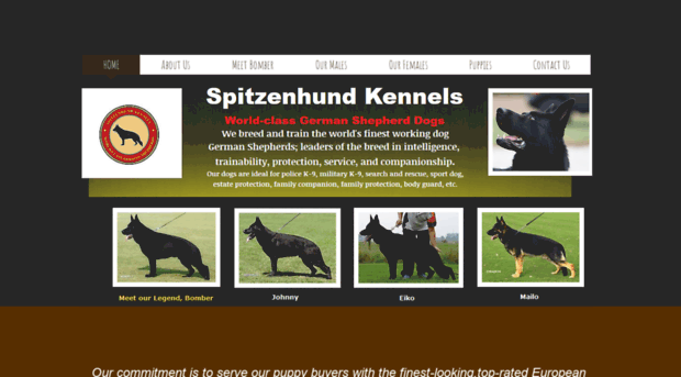 spitzenhundkennels.com
