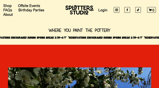 splatterspottery.com