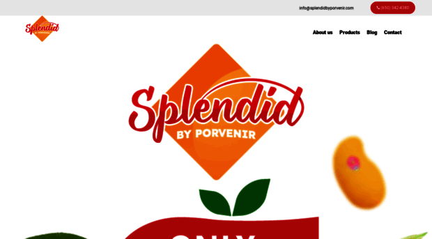 splendidbyporvenir.com