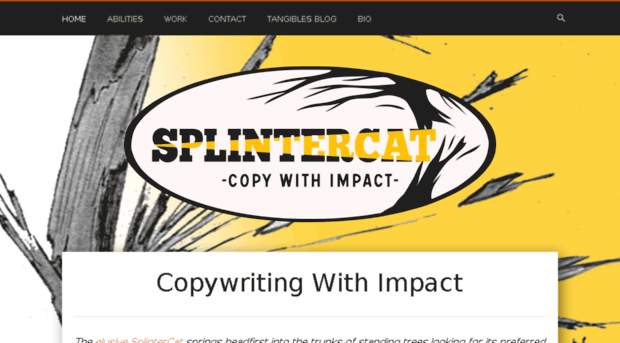 splintercatcopy.com