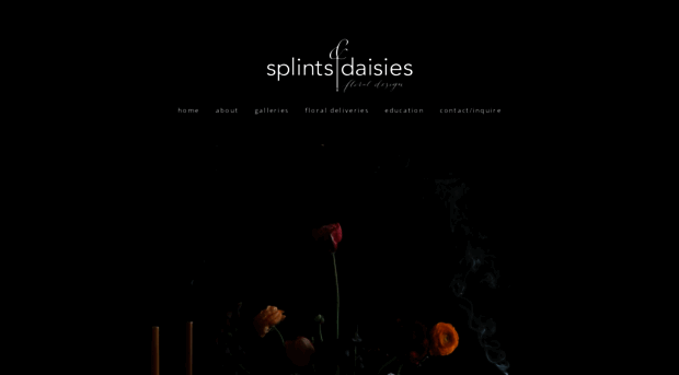 splintsanddaisies.com