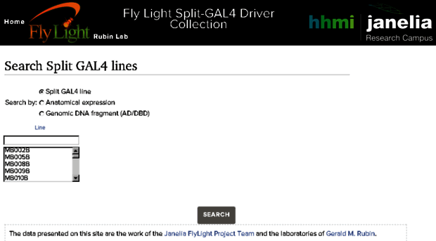 splitgal4.janelia.org