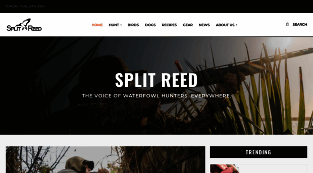 splitreed.com