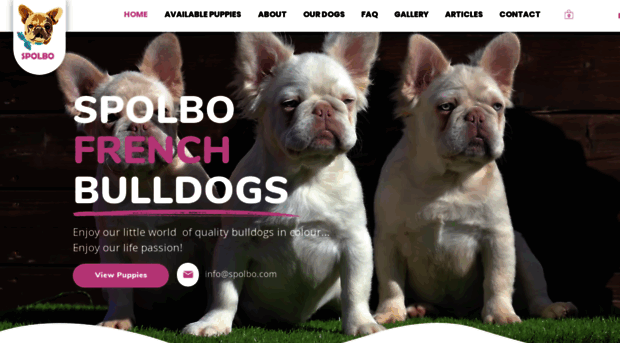 spolbo.com