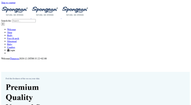 spongean.com