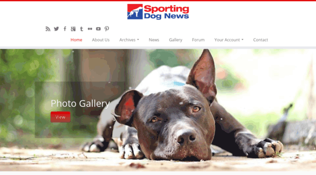 sporting-dog-news.com