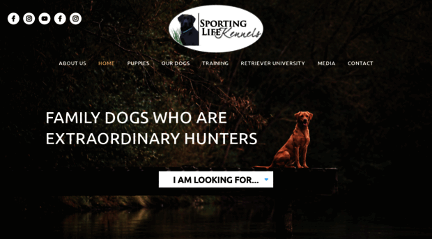 sportinglifekennels.com