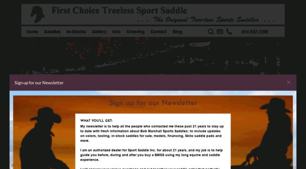 sportsaddle.com