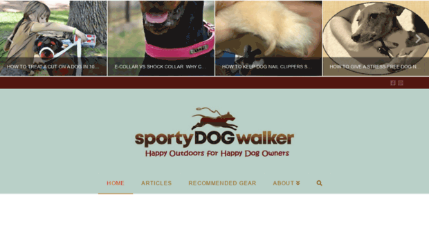 sportydogwalker.com