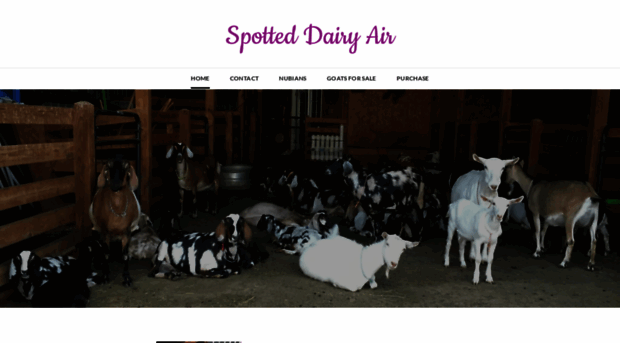spotteddairyair.net