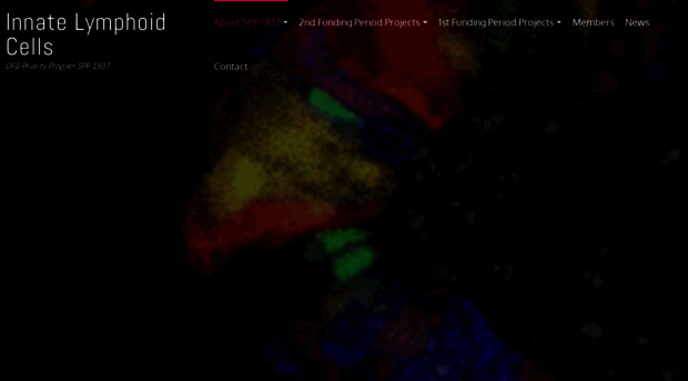 spp-innatelymphoidcells.de