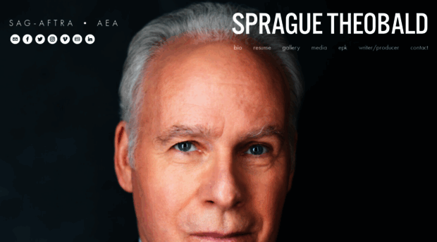 sprague-theobald.com