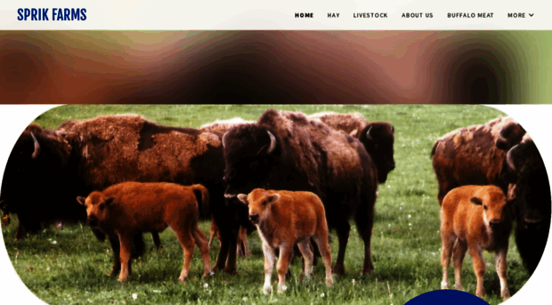 sprikfarms.com