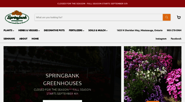 springbankgreenhouses.com