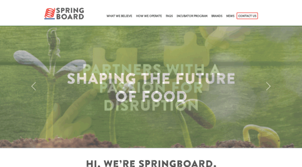 springboardbrands.com