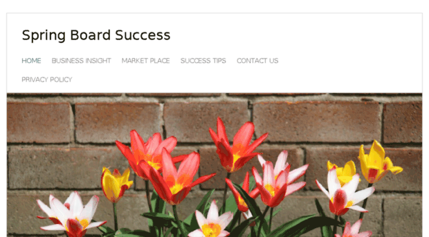 springboardsuccess.com