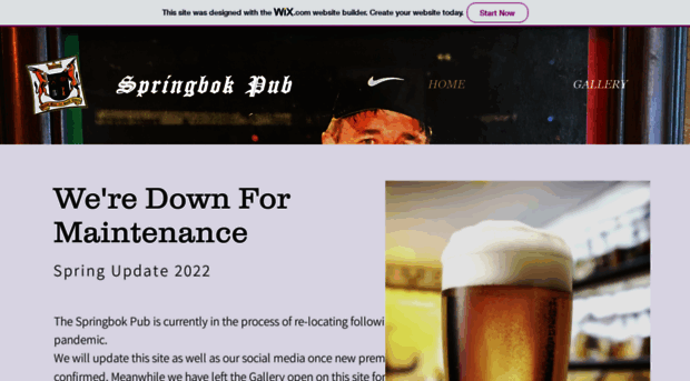 springbokpub.com