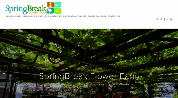 springbreakflowerfarm.com