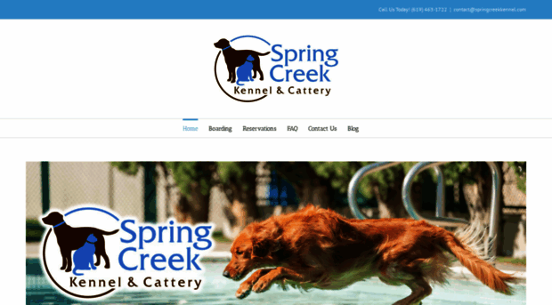 springcreekkennel.com