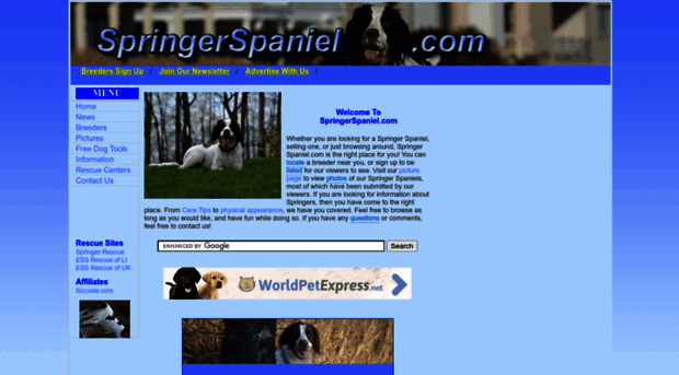 springerspaniel.com