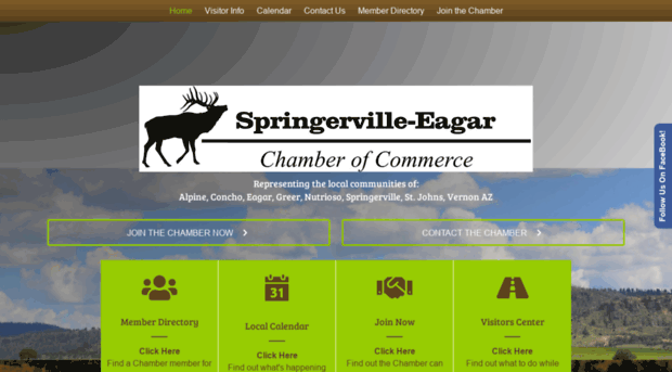 springerville-eagarchamber.com