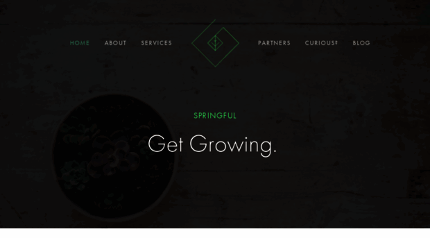 springful.agency