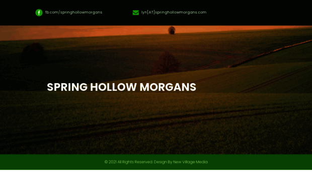 springhollowmorgans.com