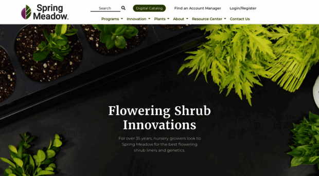 springmeadownursery.com